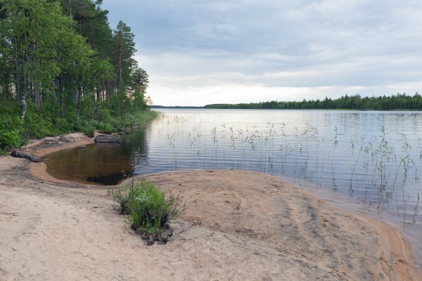 Von'ga river, Karelia, Russia 2018